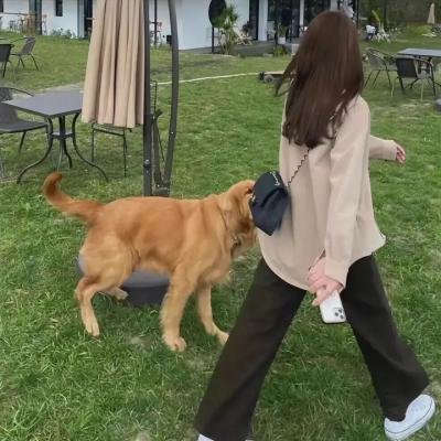 老爸成双